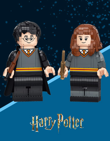 LEGO Harry Potter Angebote